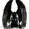 DarkAngelHero