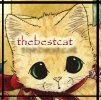 thebestcat
