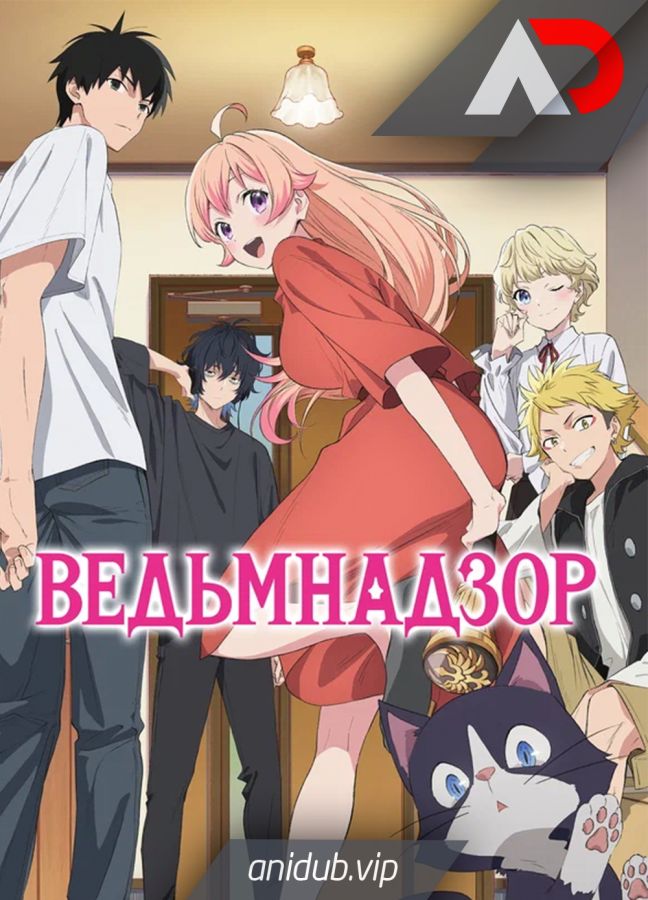 Постер аниме Ведьмнадзор 